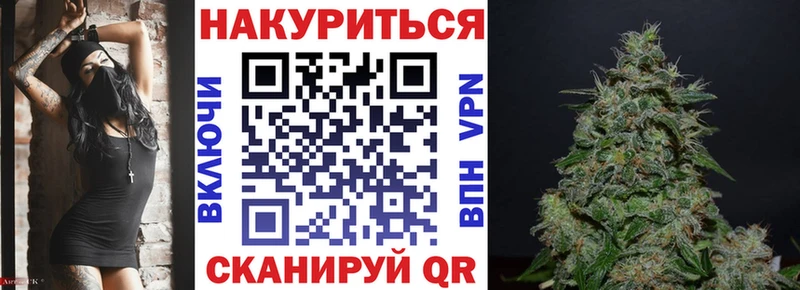 Где купить наркотики Злынка Конопля  COCAIN  Гашиш 