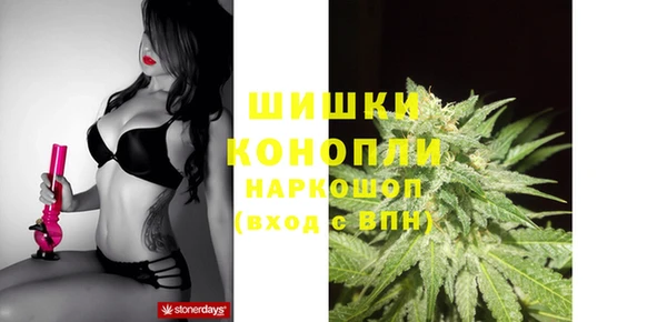 спайс Алзамай