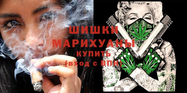 ПСИЛОЦИБИНОВЫЕ ГРИБЫ Коряжма