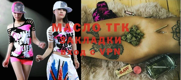индика Заволжье