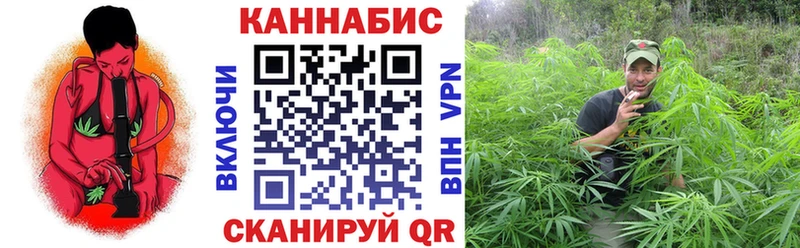 хочу   Злынка  ссылка на мегу зеркало  Канабис гибрид 
